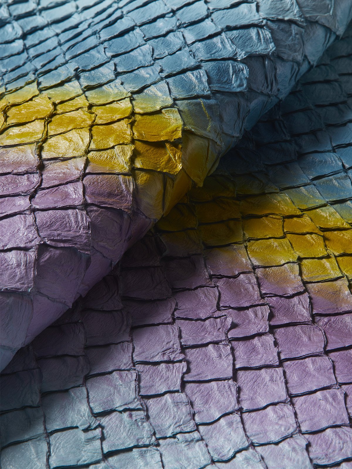 Pirarucu leather, hand-dyed crocodile, and organic conce: the latest eco-sustainable innovations from the prized